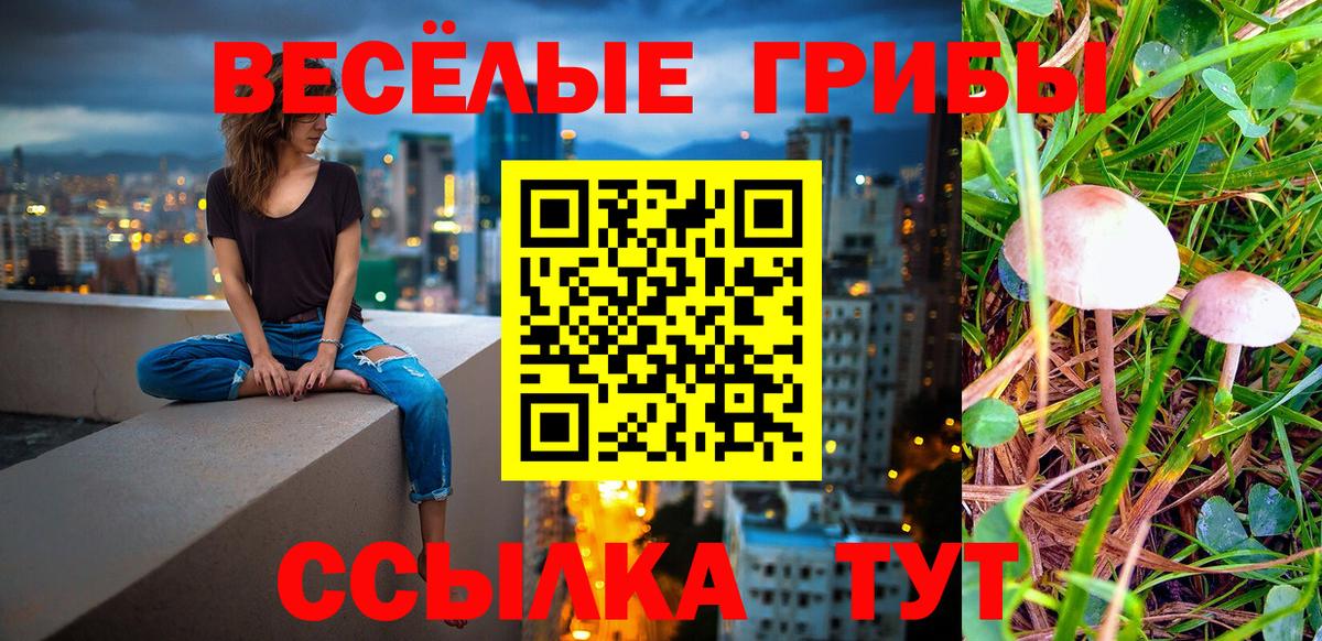 Елец  Галлюциногенные грибы Psilocybine cubensis  Вход с VPN 
